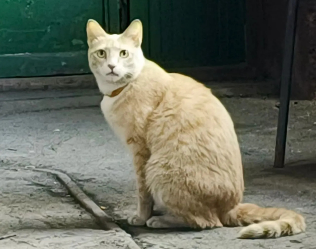 41.jpg 41.jpg